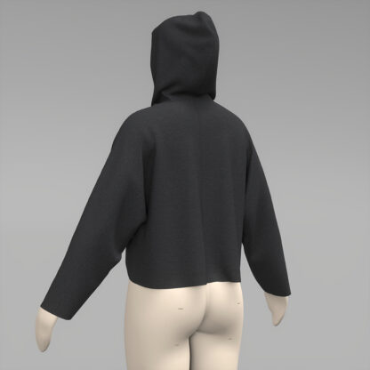 Womens Cropped Panel Hoodie back on a 3d avatar